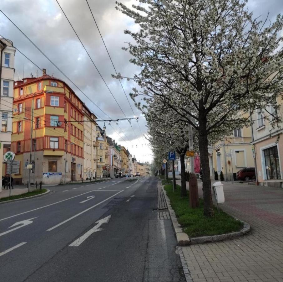 Апартаменты Apartman Jena Марианске-Лазне Экстерьер фото