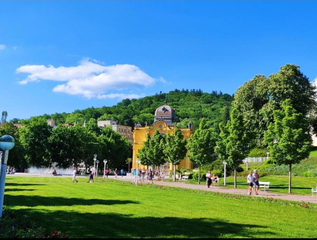 Апартаменты Apartman Jena Марианске-Лазне Экстерьер фото